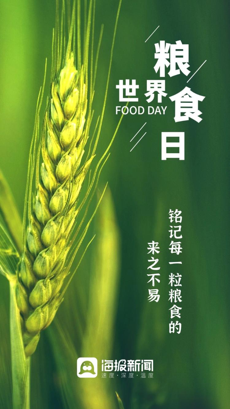 查询陆君同学的学号和生日_某幻君生日_某幻君多大了