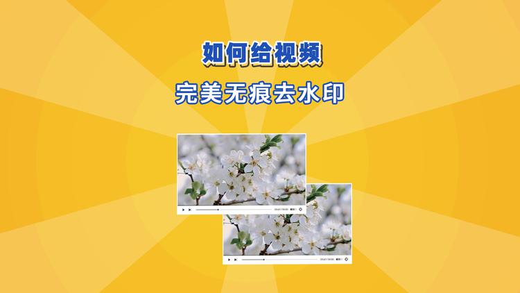 无水印提取视频软件免费_无水印视频提取软件_视频无水印提取器