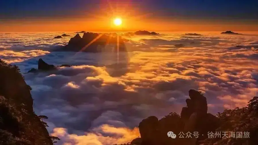 旅美国宝丫丫_美国之旅2_旅美国画大师