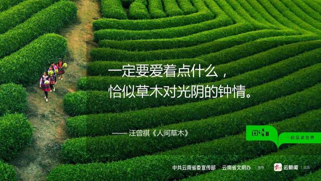 金妮韦斯莱图片_金妮韦斯莱的魔杖_金妮·韦斯莱
