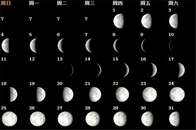 日历阴历表_日历阴历和阳历有什么区别_日历阴历