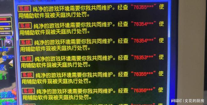 玩游戏封设备怎么办_打游戏封号_rog手机玩游戏被封号