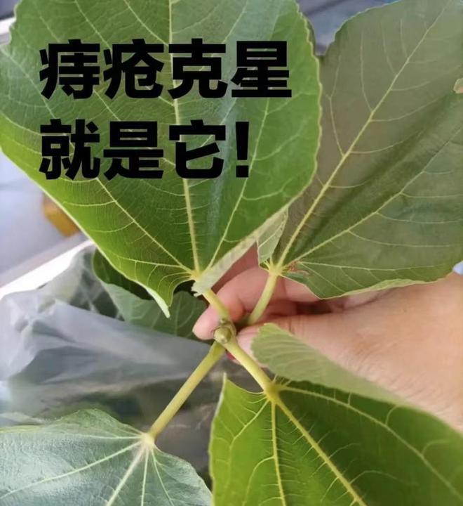 电脑玩手机游戏如何退出_玩游戏退出桌面_为什么退出游戏电脑就会很卡