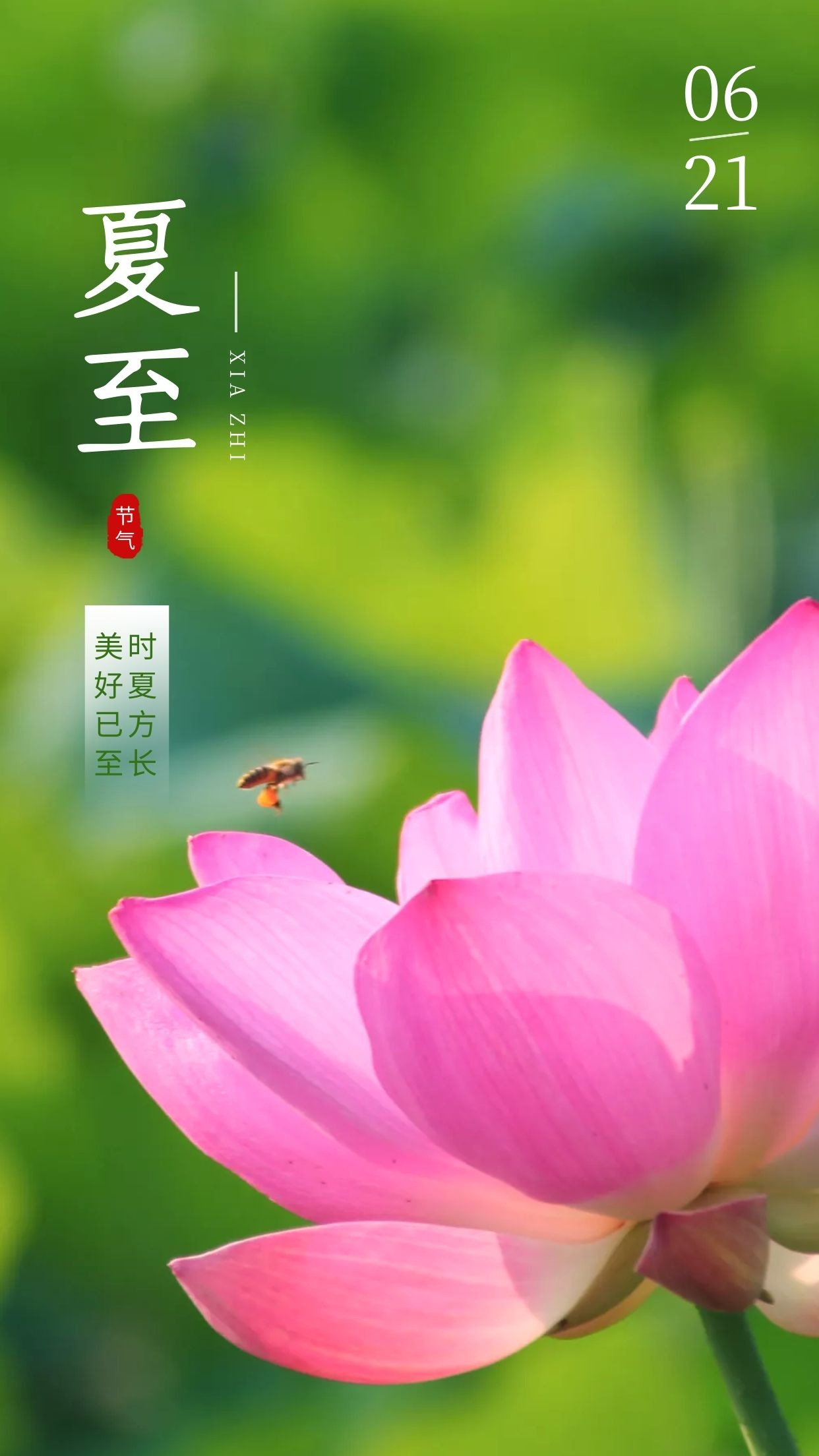 一年中白昼最长的一天是_白昼最长的一天_白昼最长的一天是什么节日