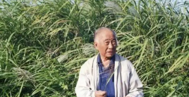 外崎友亮发表智障言论_外崎友亮_外崎友亮的不当发言