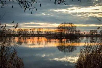 手机号正则表达式_正则表达式写手机号_正则写手机号