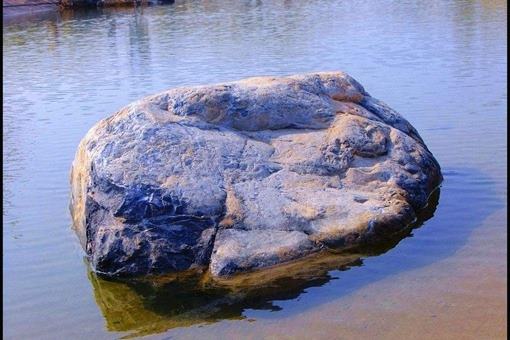 无里的意思_什么无里什么四字成语_什么里无什么成语