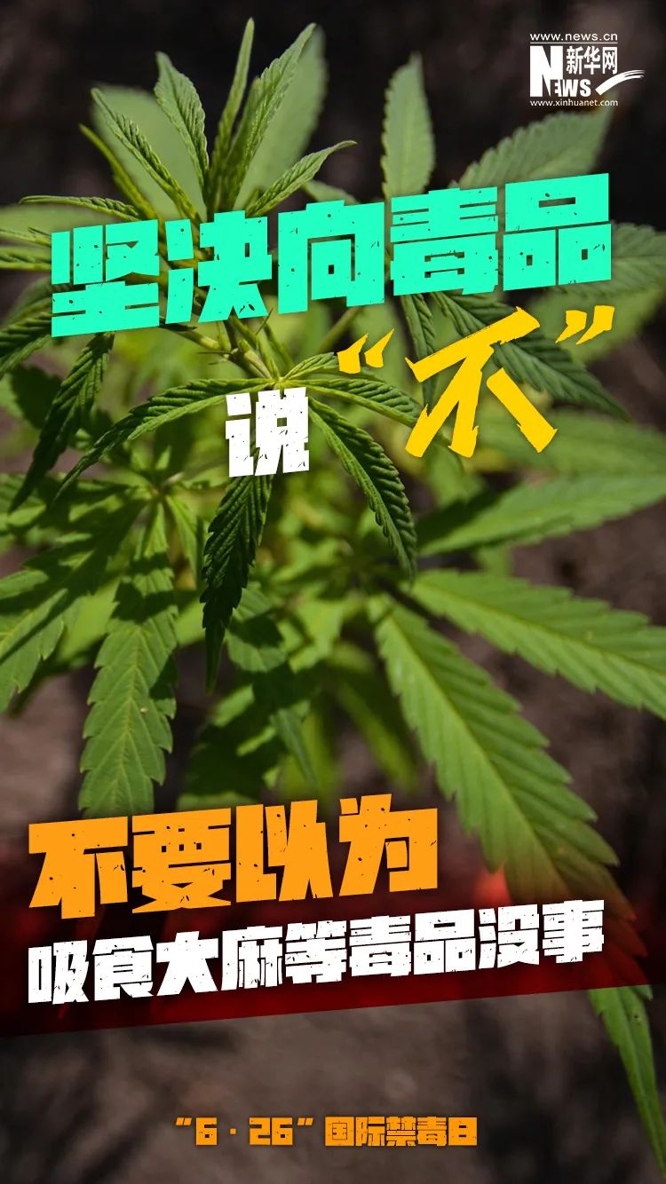每年6月26日是什么节日?_每年各月份节日_每年的节日在几月几日