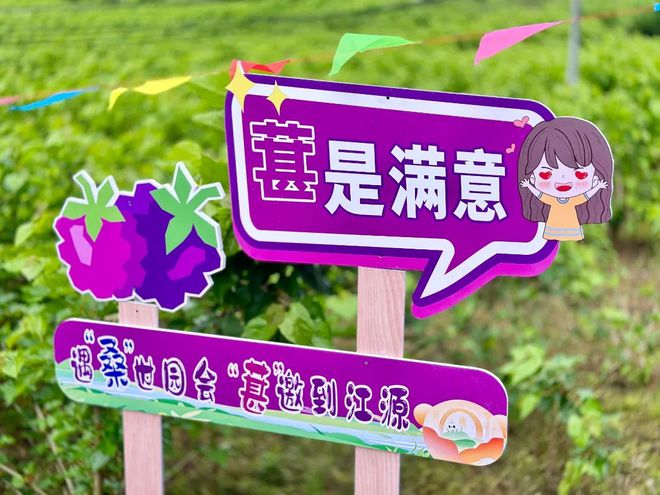 单机农场手机游戏_农场类单机手游_农场单机小游戏