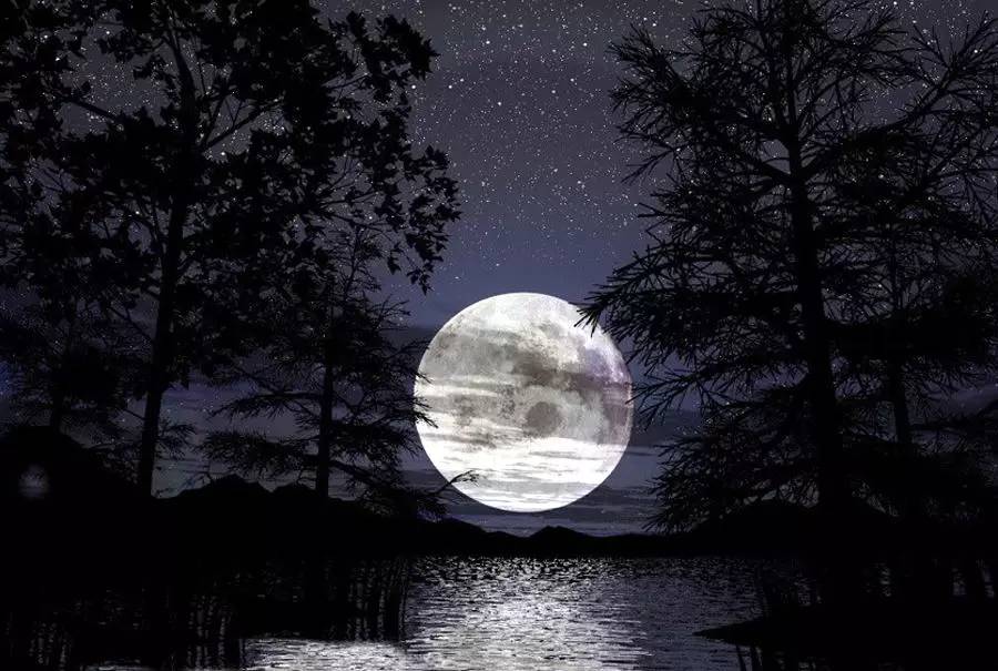 十六夜_夜猫_夜童