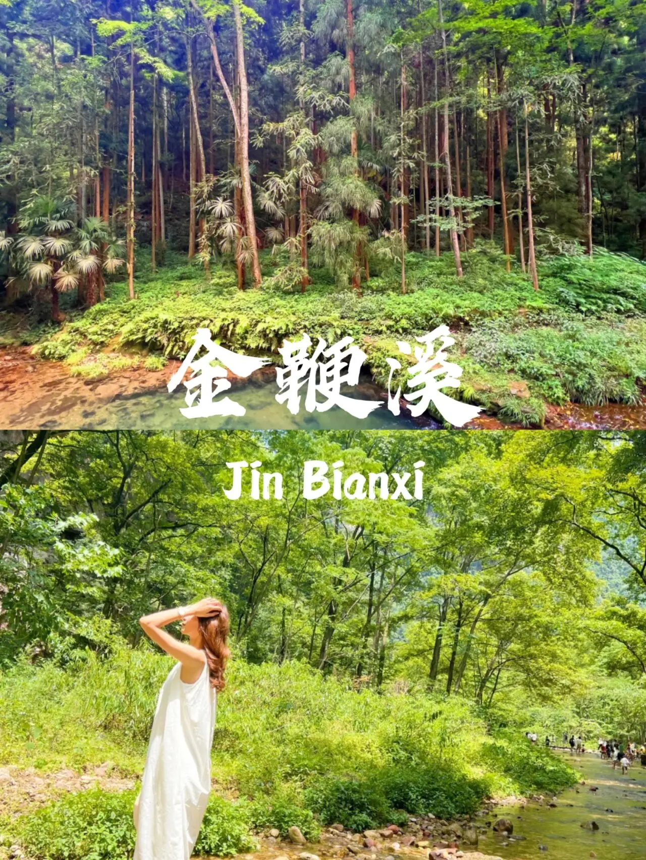 表白小游戏手机版_表白游戏手机_表白游戏
