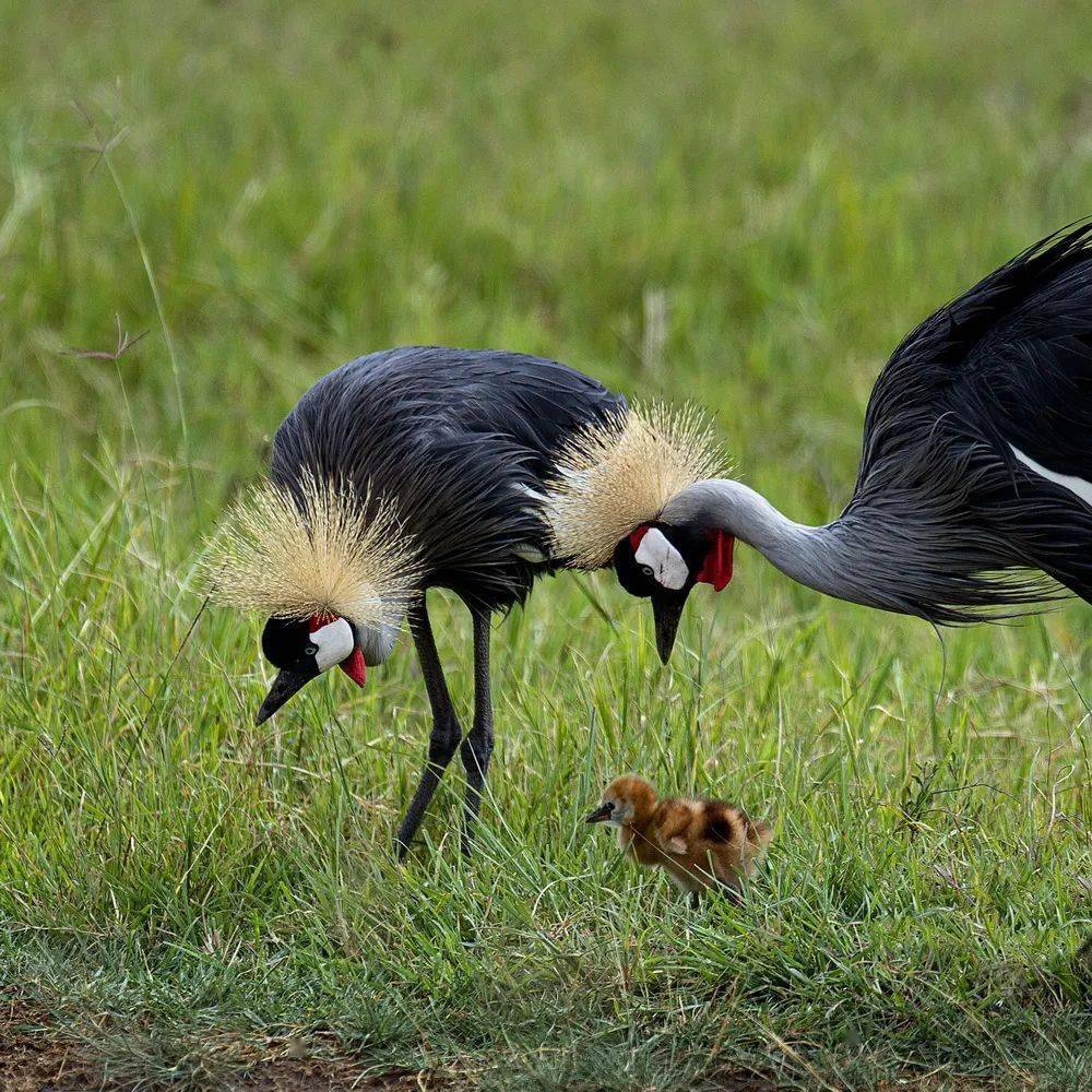 铃木爱理_佐藤爱理_爱理
