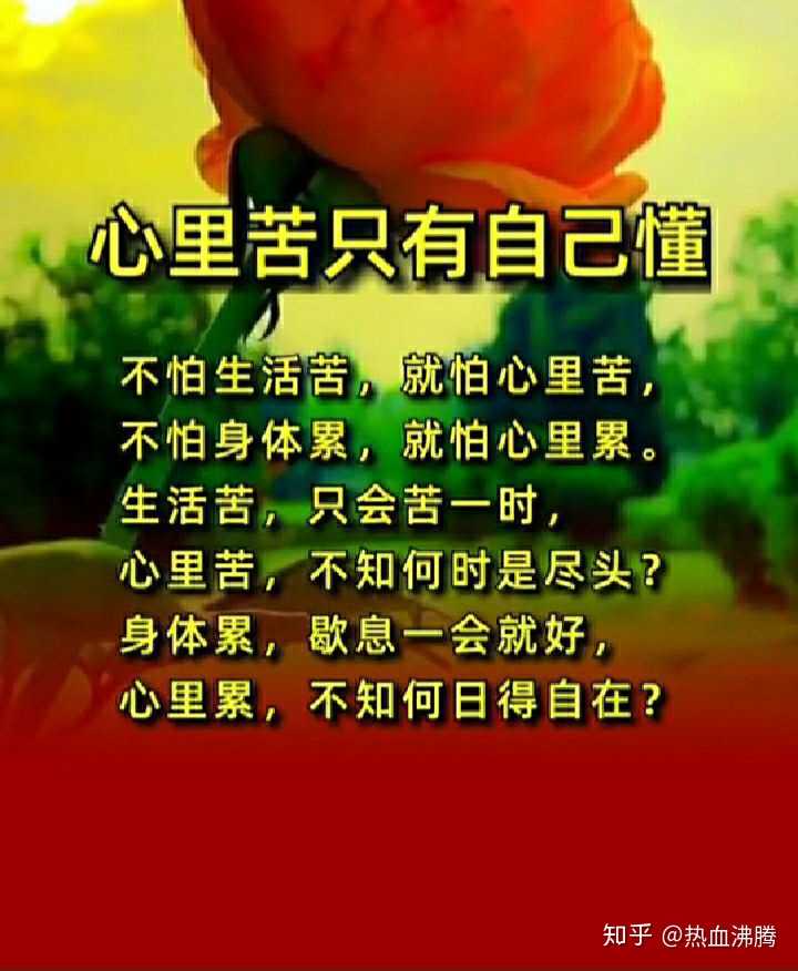 佐藤爱理_爱理_铃木爱理