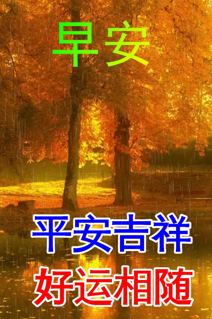 雯雅婷事件_雯雅婷_龙雅婷