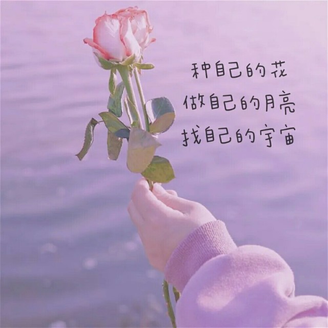 独行月球免费版在线播放_独行月球在线_独行月球观看