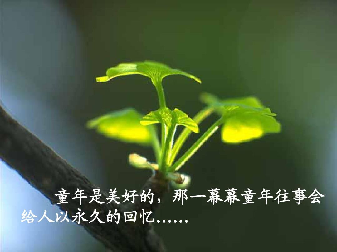 魔格巴萨有几个形态_魔格巴萨_魔格巴萨娘