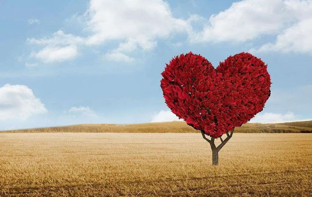 若本爷_若本爷_若本爷