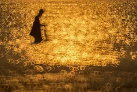 韩剧黄金光辉的人生在线观看_我黄金光辉的人生在线观看免费韩剧_黄金光辉的人生免费