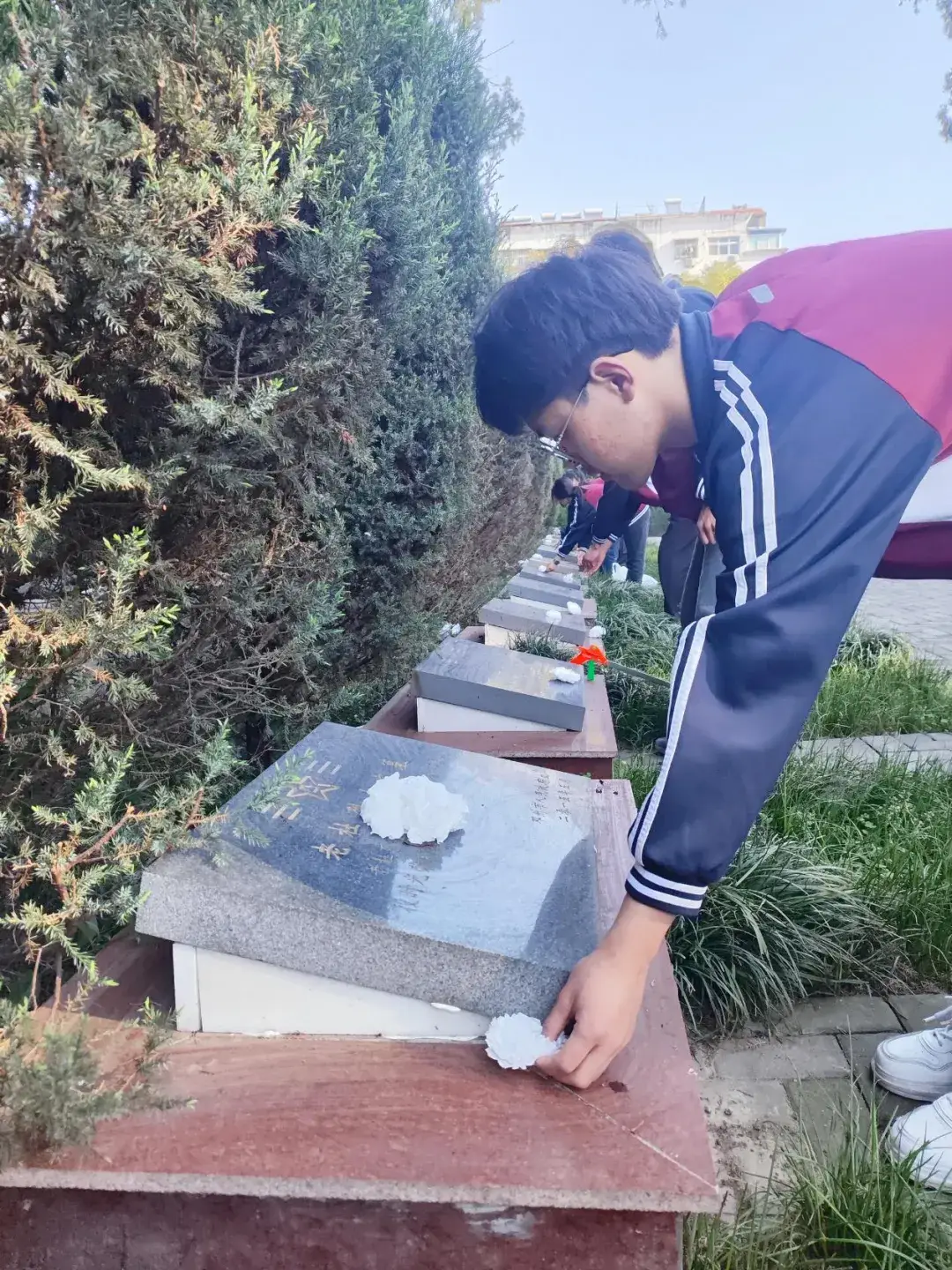 炎黄蜀黍为什么不直播了_炎黄蜀黍个人资料_炎黄蜀黍
