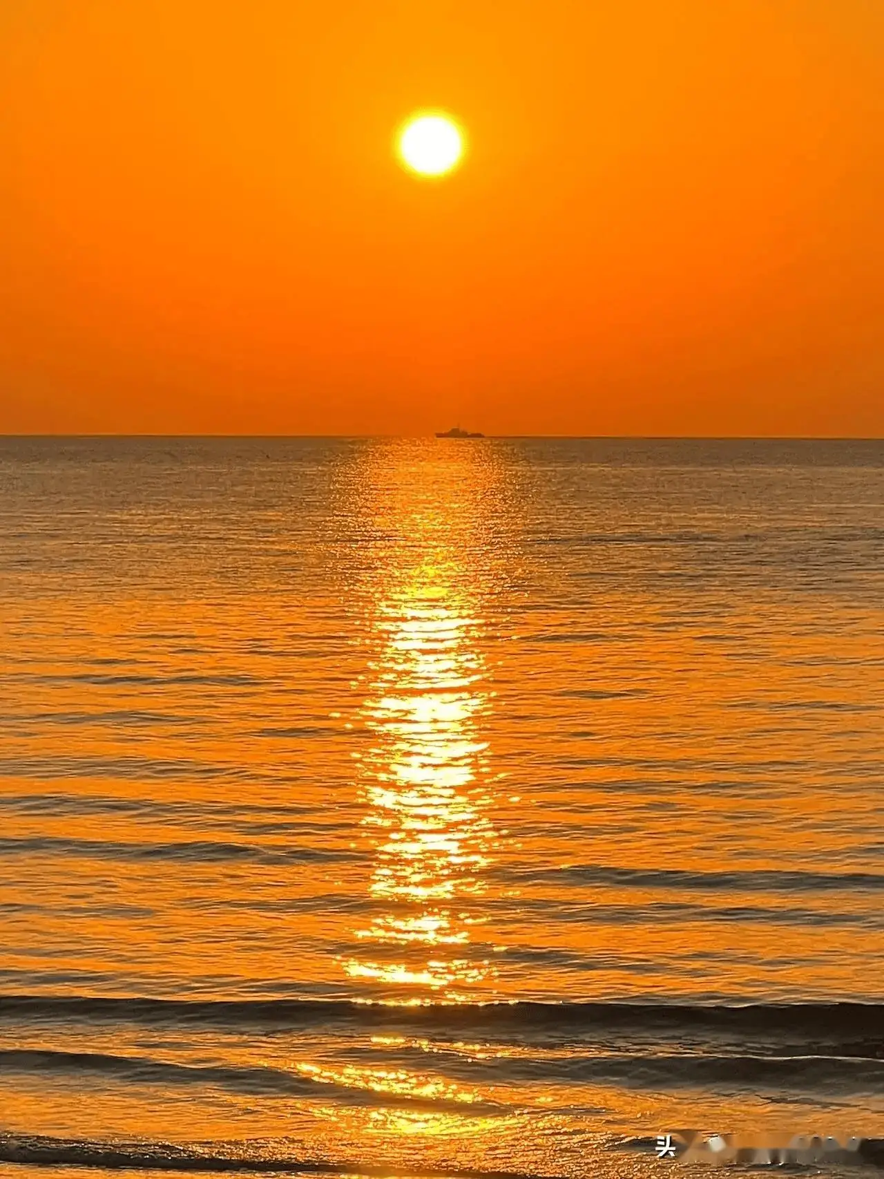 看风景的手机单机游戏_纯看风景的手机游戏_手游看风景的游戏