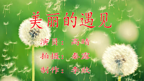 手机版手风琴_风琴手机游戏推荐_风琴手机游戏