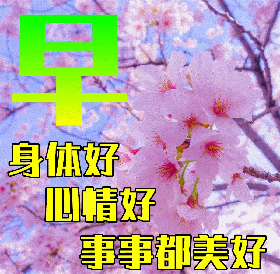 河合勇人_河合_河合奈保子