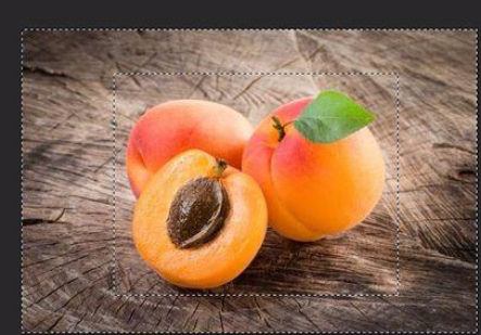 ps怎么反选选区_ps选区返选_ps中把选区进行反选的快捷键