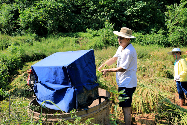 割稻草手机游戏怎么玩_割稻谷的游戏_割稻草手机游戏