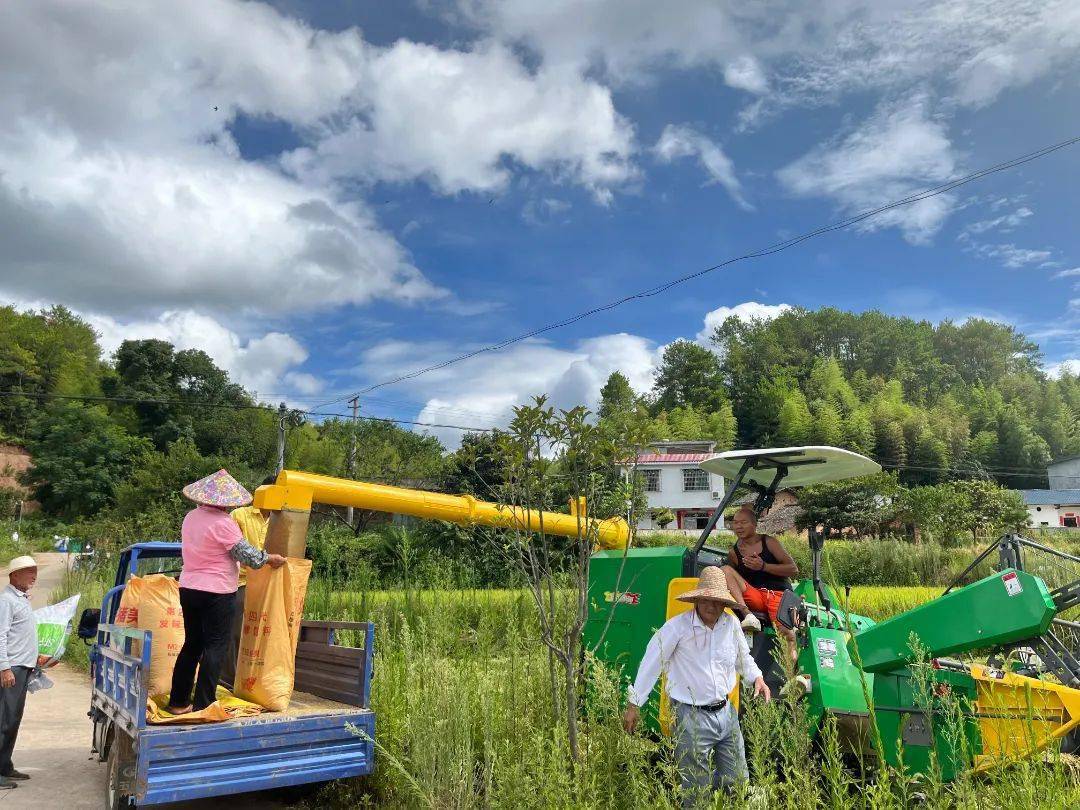 割稻谷的游戏_割稻草手机游戏_割稻草手机游戏怎么玩