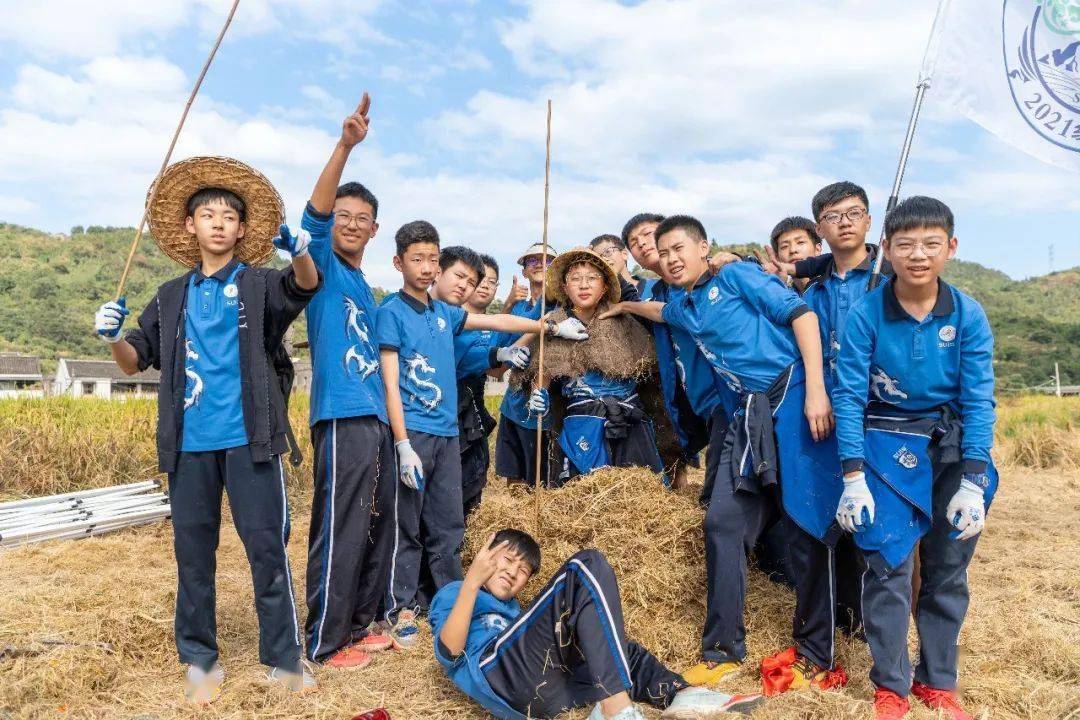 割稻草手机游戏怎么玩_割稻谷的游戏_割稻草手机游戏