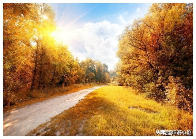 欧布原生之初_欧布原生之初和欧布原生_布欧原生之初