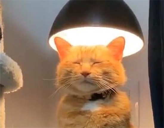 在线视频看看_在线视频看看_在线视频看看