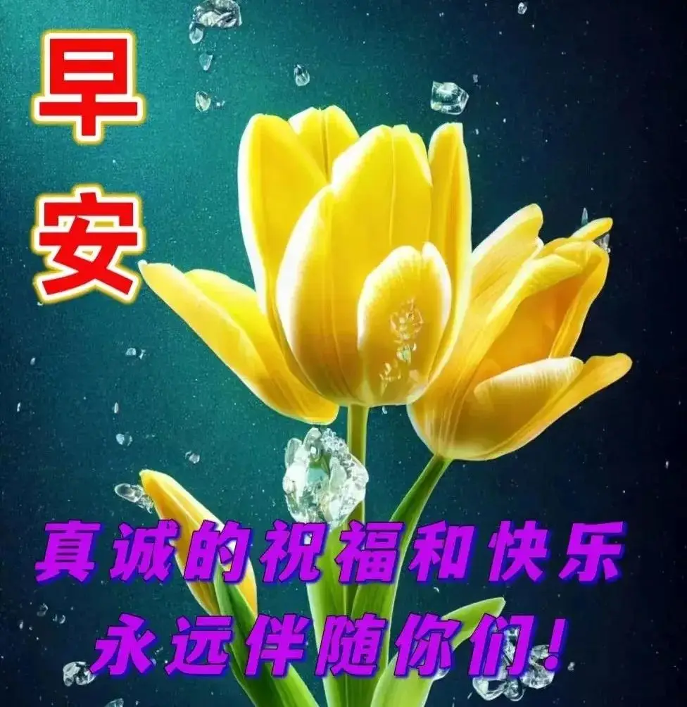 帕朵菲莉丝_丝帕女神_丝帕舍女装