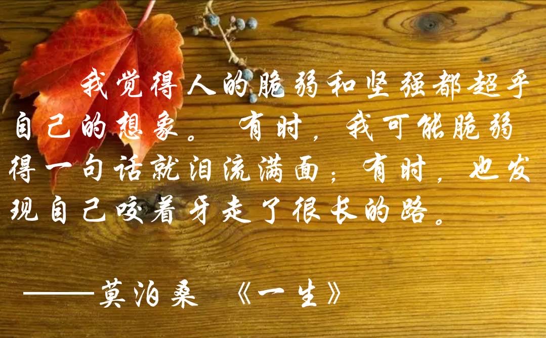 永不枯萎的世界与终结之花_枯萎的花终会找到他的归属_枯萎的世界