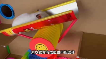 仓鼠球的游戏_仓鼠球游戏_仓鼠三星手机游戏下载