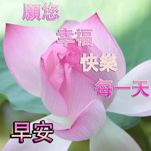 枕头大战英语怎么说_枕头大战游戏_枕头大战