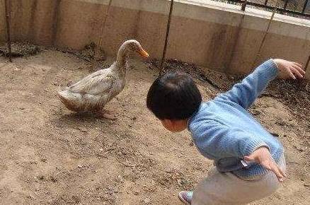 方块上有数字弹珠弹射_弹珠打方块数字的手机游戏_小球弹方块数字