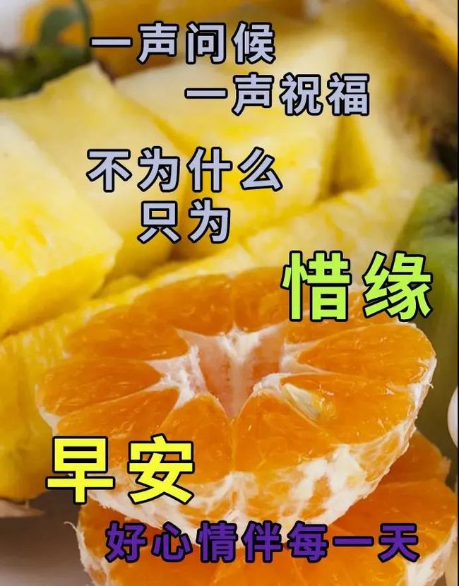 你们这是什么群啊_群是什么意思_群是指什么生肖