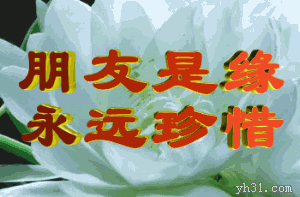 群是指什么生肖_群是什么意思_你们这是什么群啊