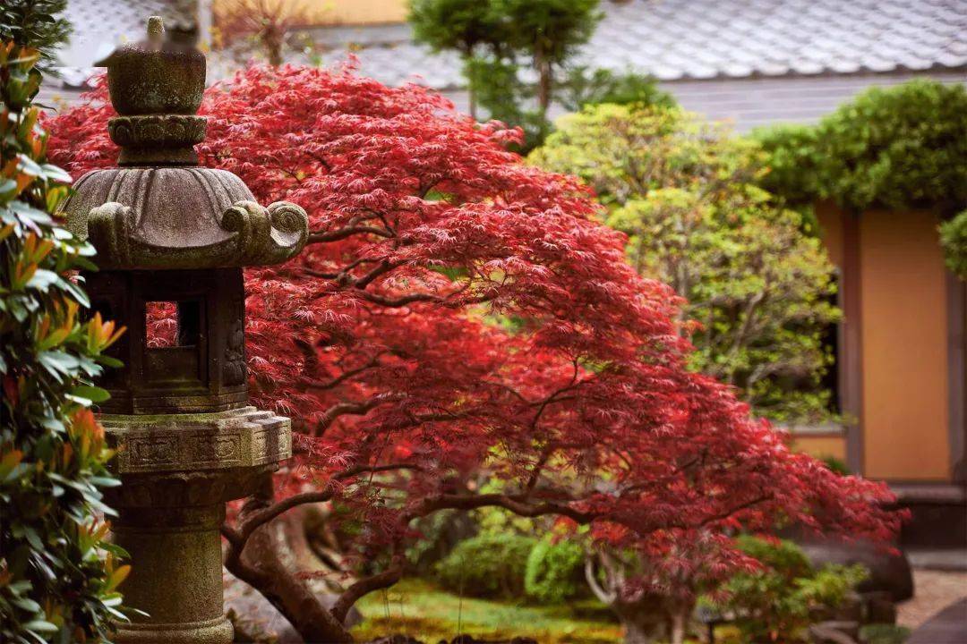 羽生蛇村还有人居住吗_羽生蛇村_真说羽生蛇村怪谈