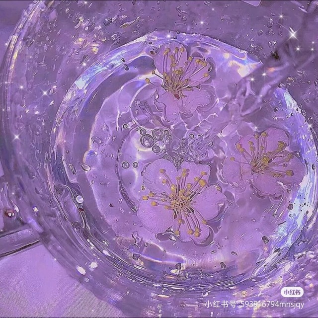 蒙特祖玛的宝藏5-探寻蒙特祖玛宝藏：神秘丛林中的古老神庙与宝