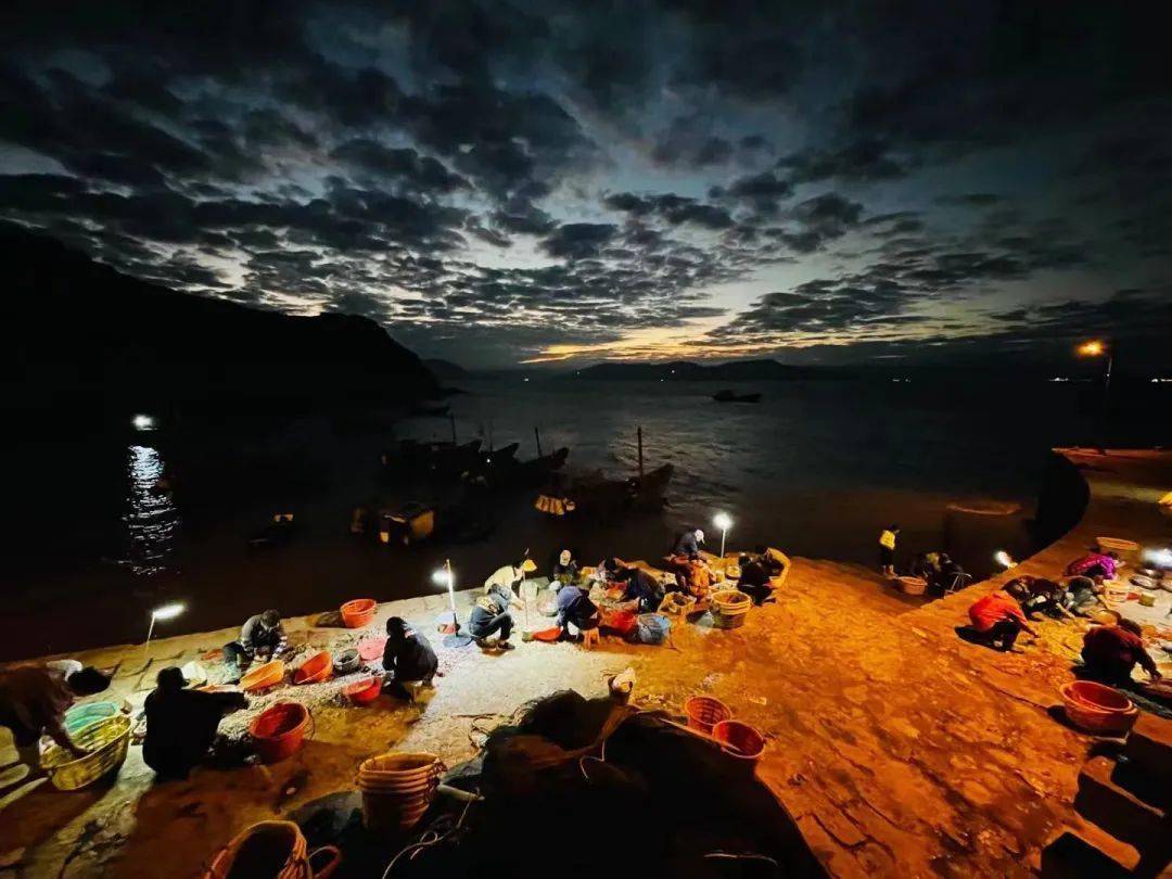 大地资源高清在线视频播放_大**_大专
