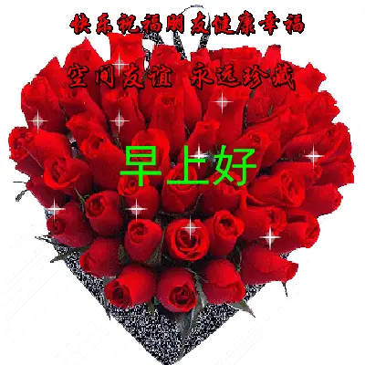 波动少女2_波动少女2_波动少女2