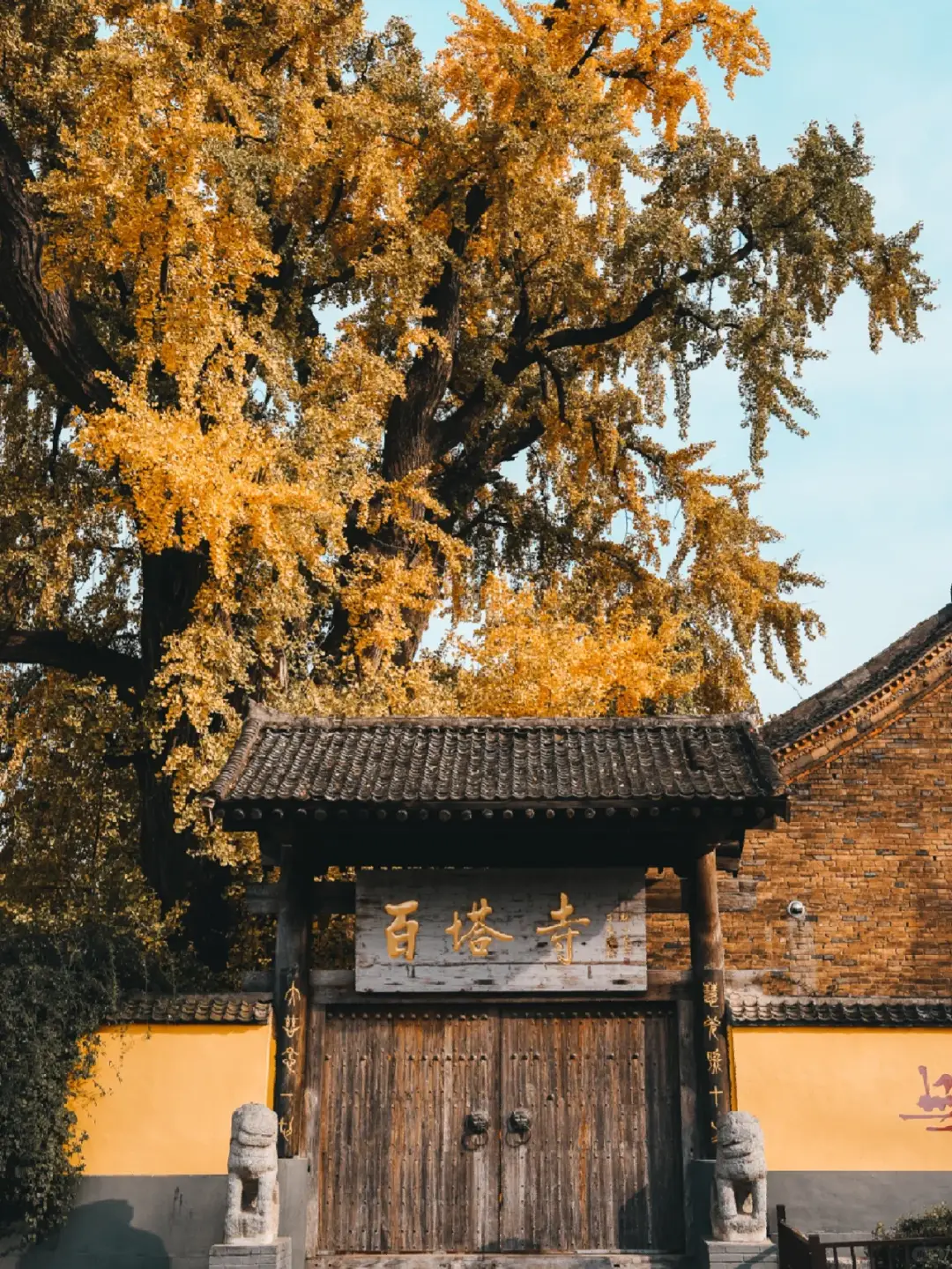 怅然造句游戏手机_怅然造句子_怅然造句短句