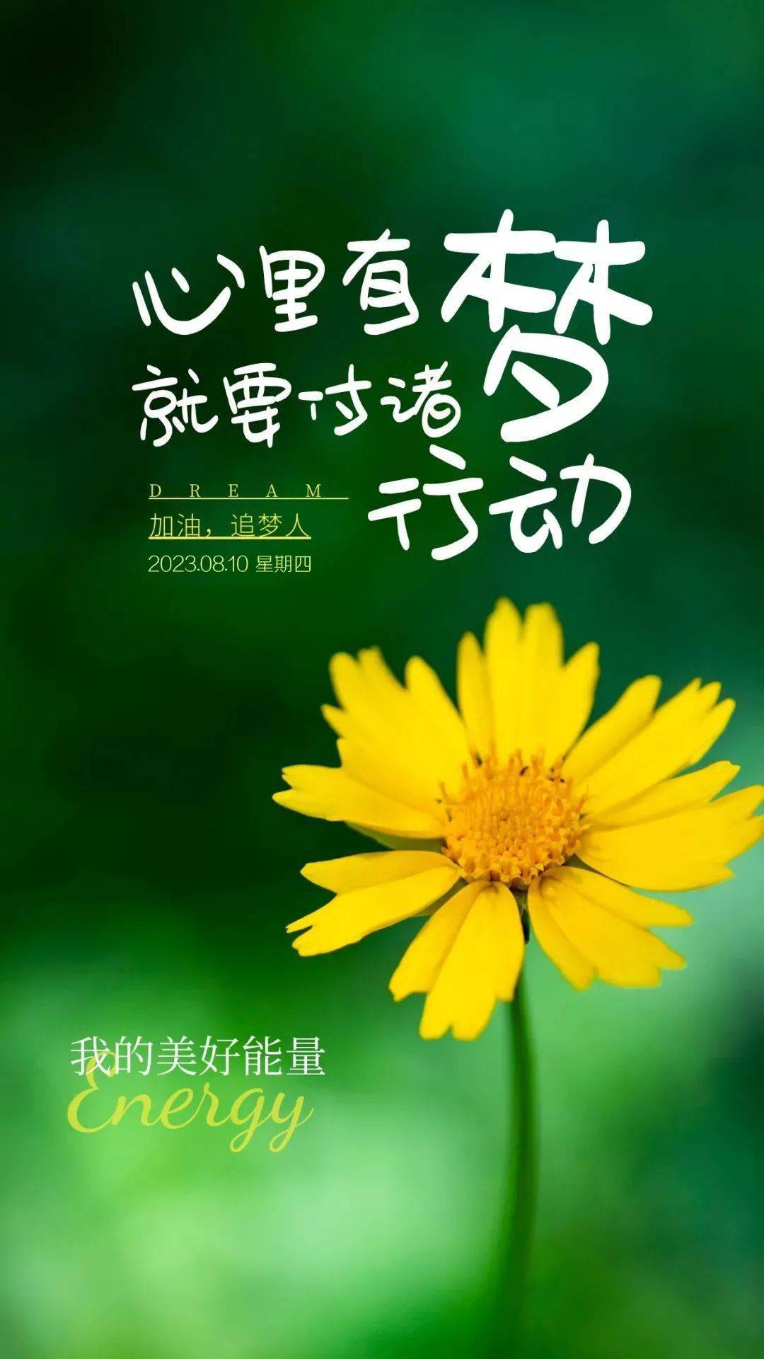 百元电影_电影元帅与士兵插曲_电影元素