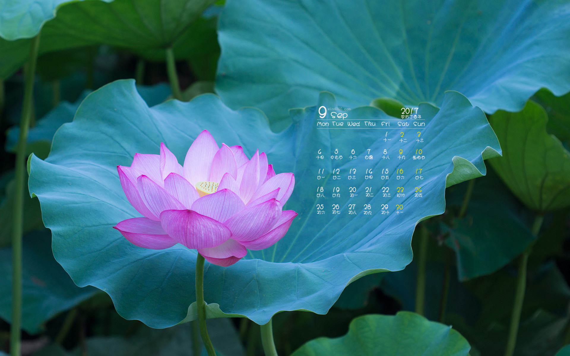 哪些年是闰月年_2013年9月9日_月日年还是日月年