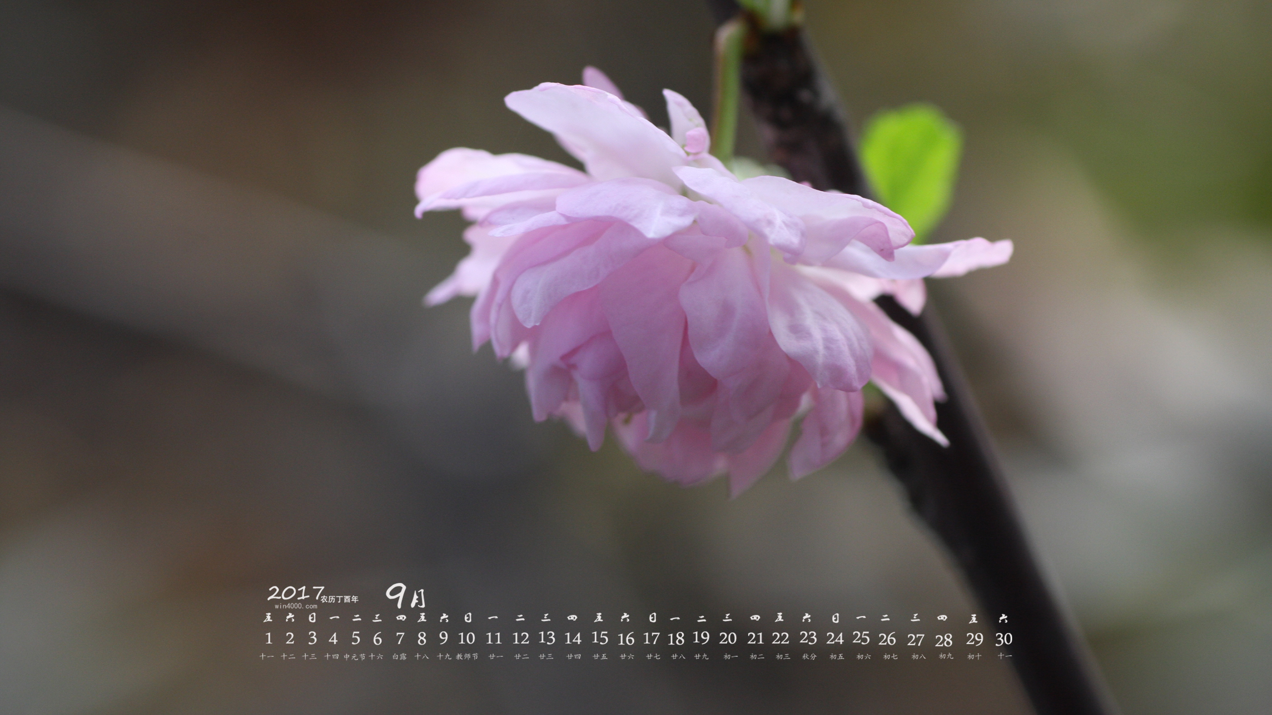 2013年9月9日_月日年还是日月年_哪些年是闰月年