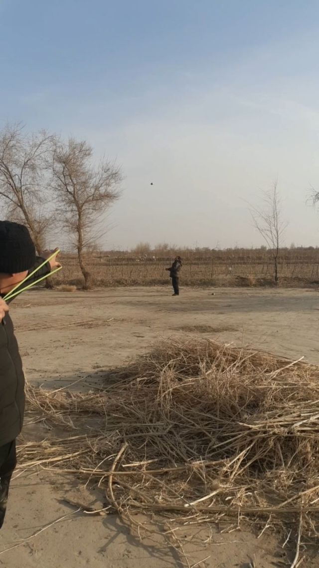射击靶机类型_射靶飞机制作_飞靶射击游戏手机