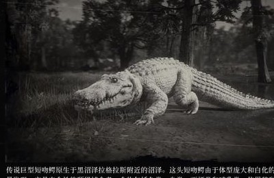 鳄鱼下载_一款鳄鱼的游戏_鳄鱼游戏手机版能下载吗