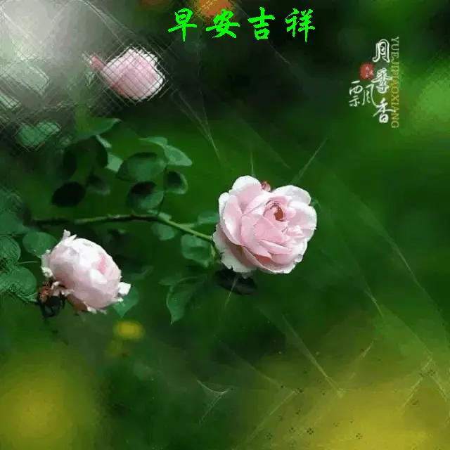高千穗铃_高千穗铃所有作品_高千穗峡谷